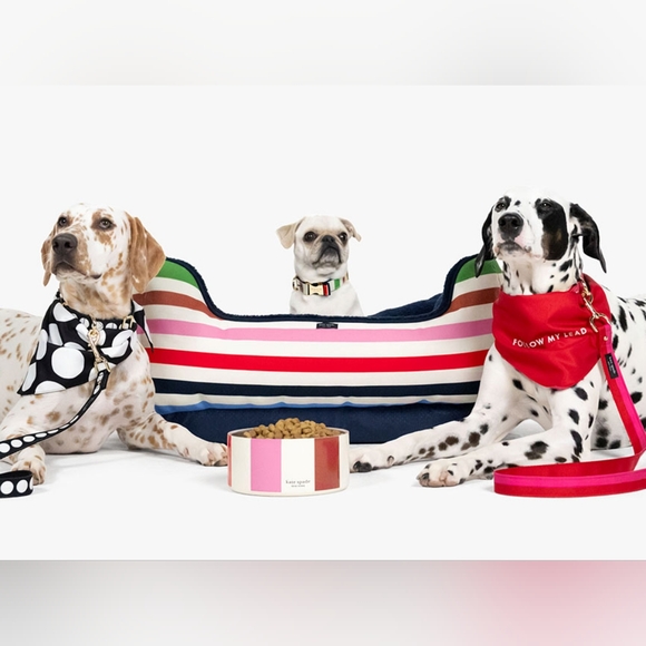 Kate Spade Pet Food Bowl - Picture 6 of 6